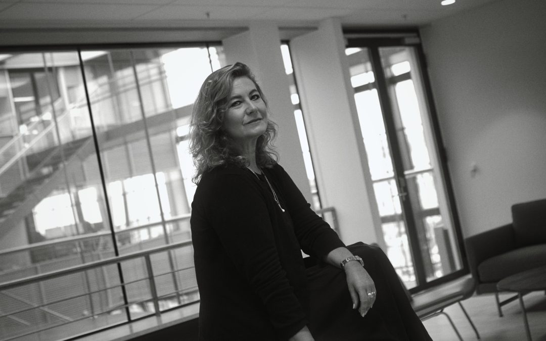 I don’t work with temporary trends