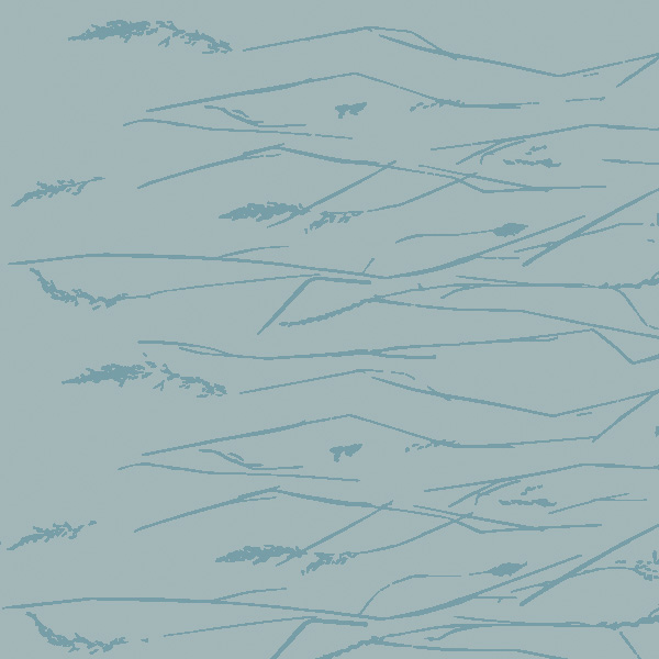 Light blue/Blue 0303