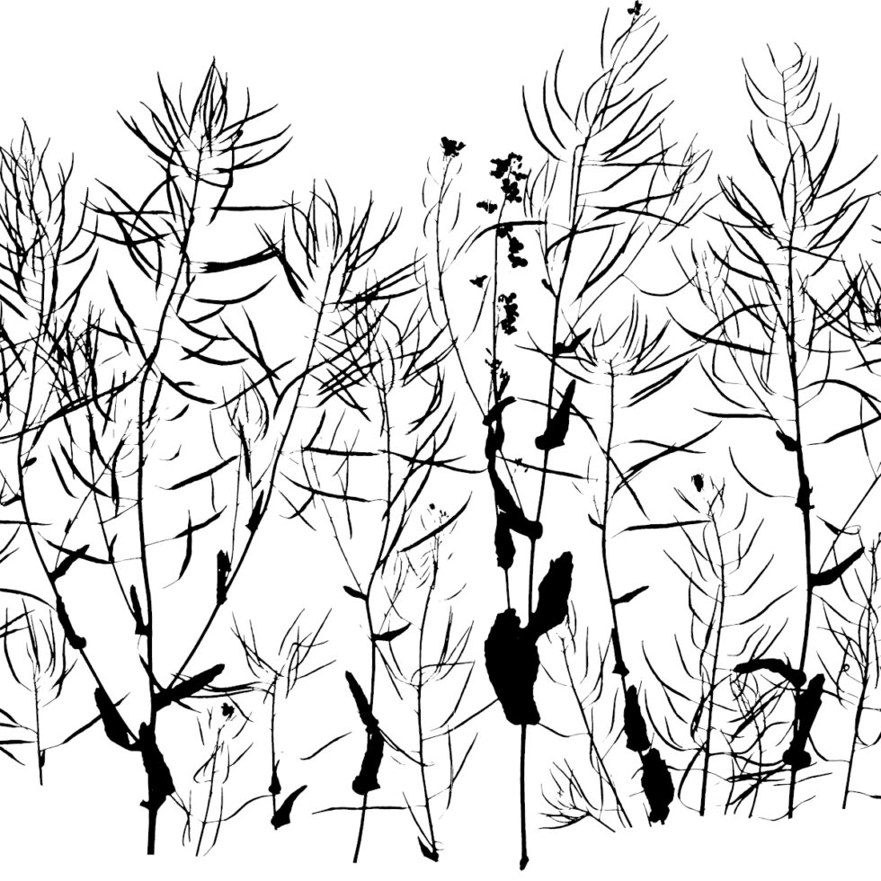 Download Center KURAGE