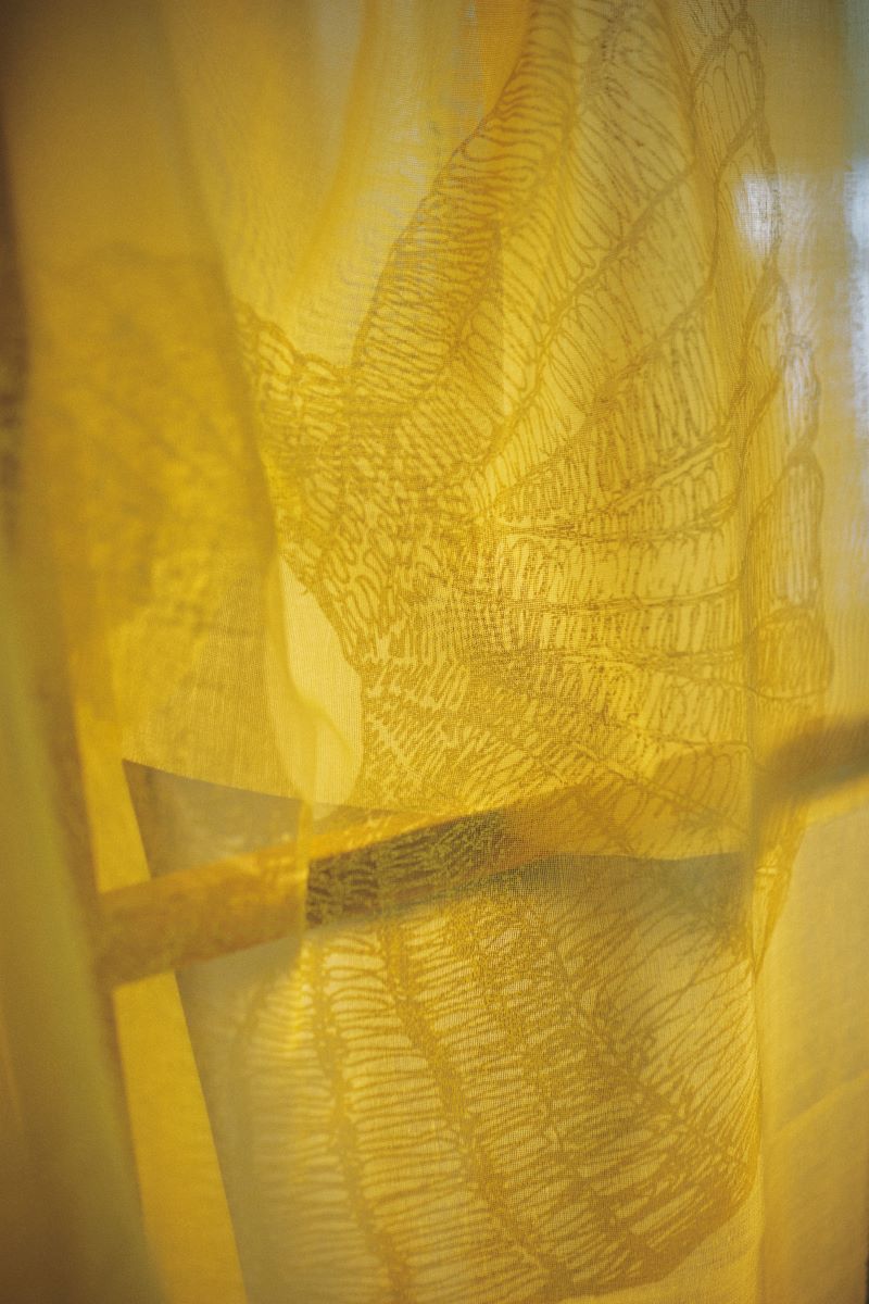 Kurage_Yellow print_Low